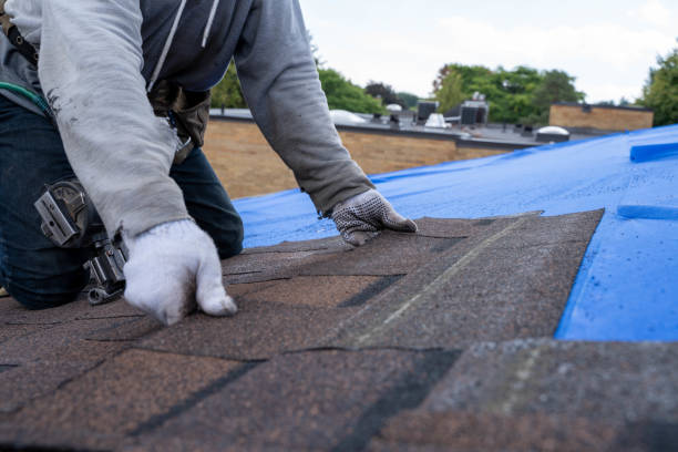 Best Roof Gutter Cleaning  in North Fork, CA