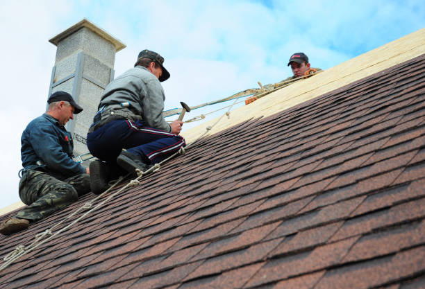 Best Gutter Installation and Roofing  in North Fork, CA